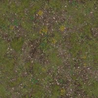Asset preview